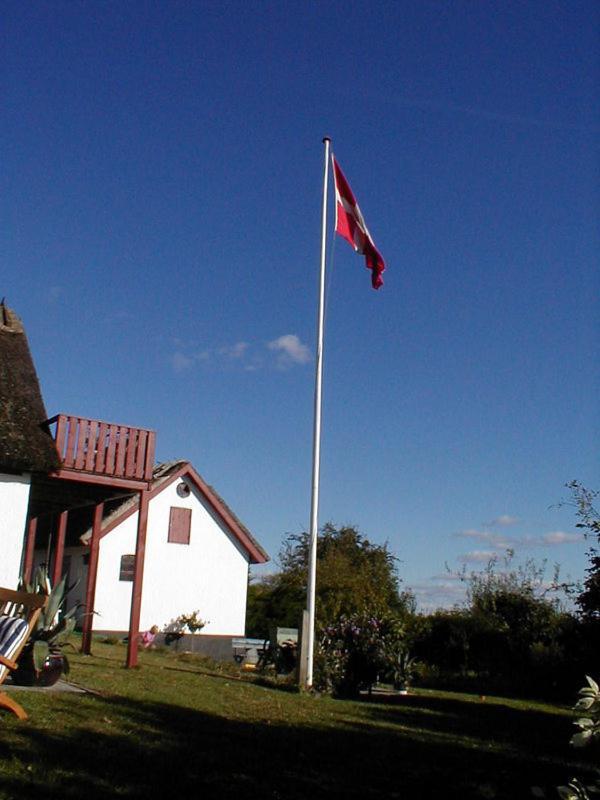 Bulbrovejs Bed & Breakfast Havdrup Extérieur photo