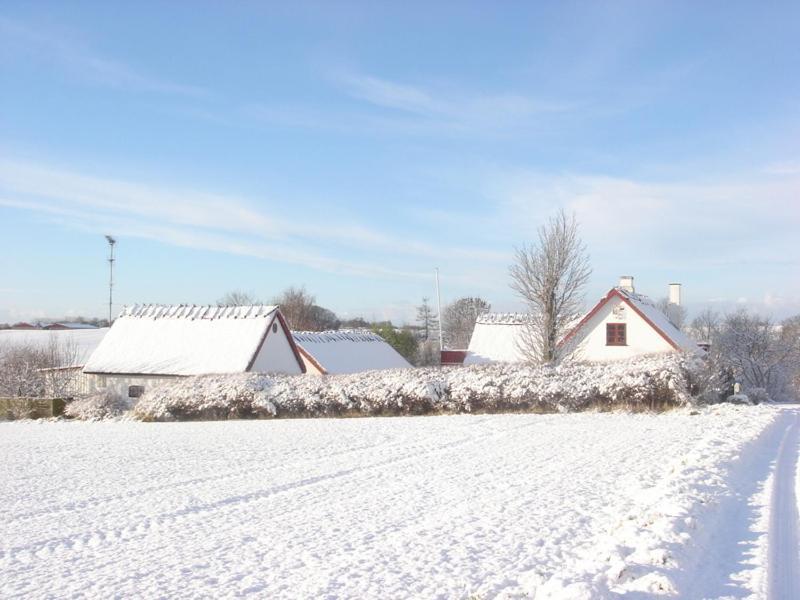 Bulbrovejs Bed & Breakfast Havdrup Extérieur photo