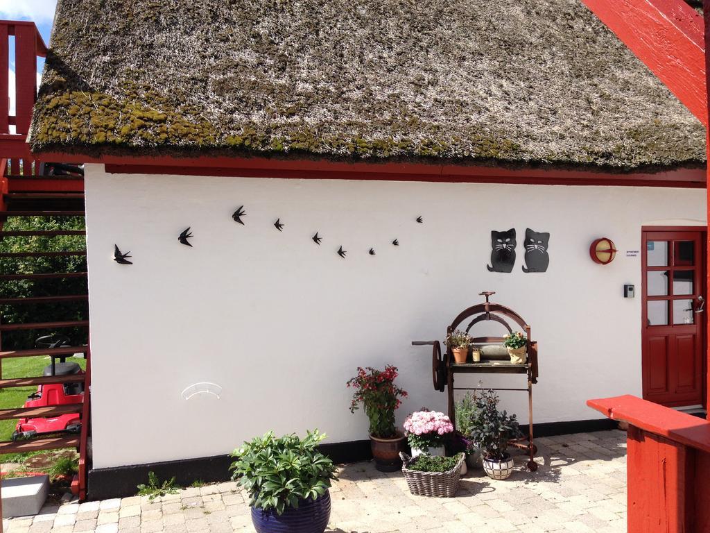 Bulbrovejs Bed & Breakfast Havdrup Extérieur photo